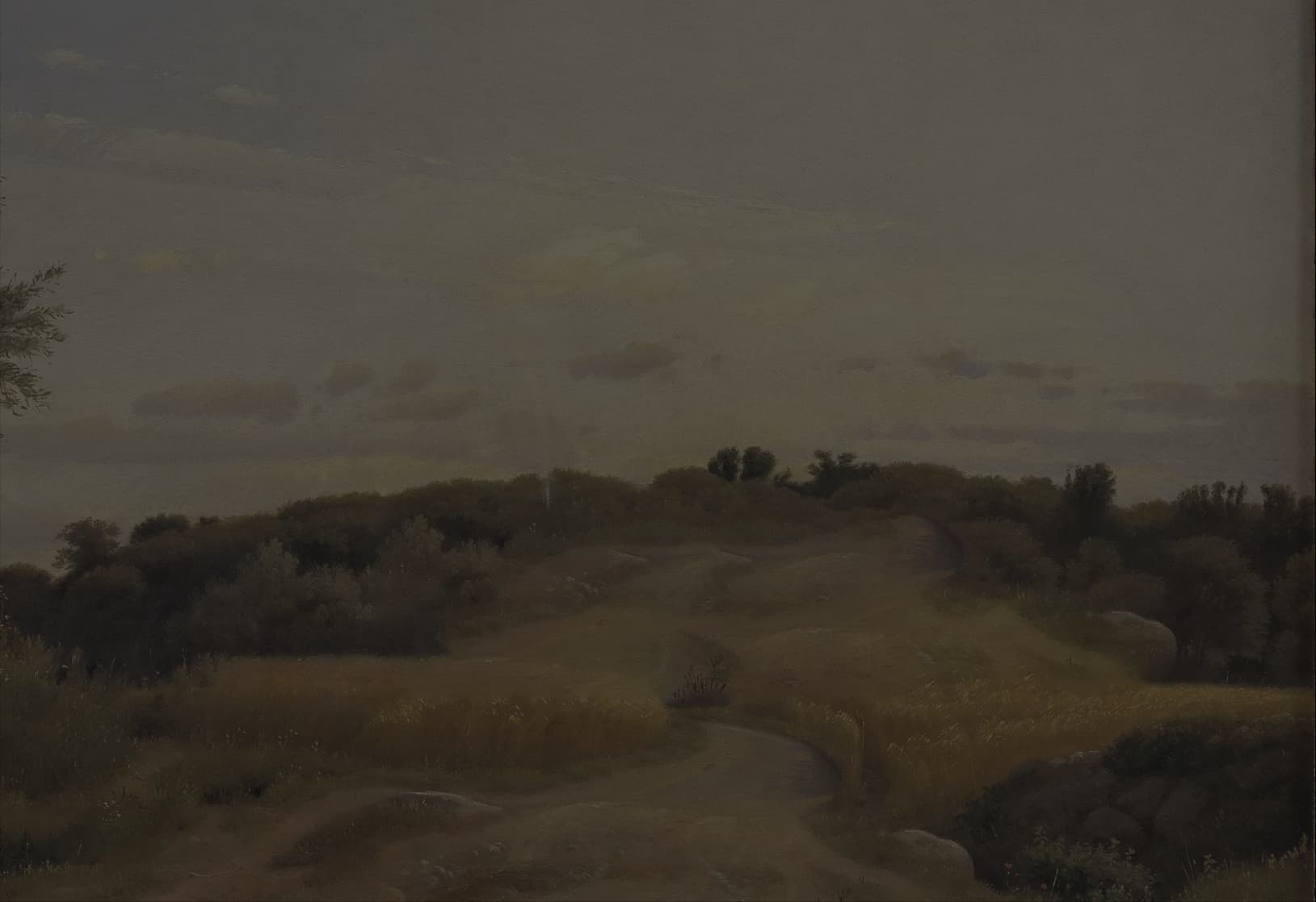 bg1