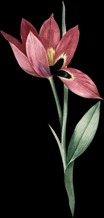 flower-4
