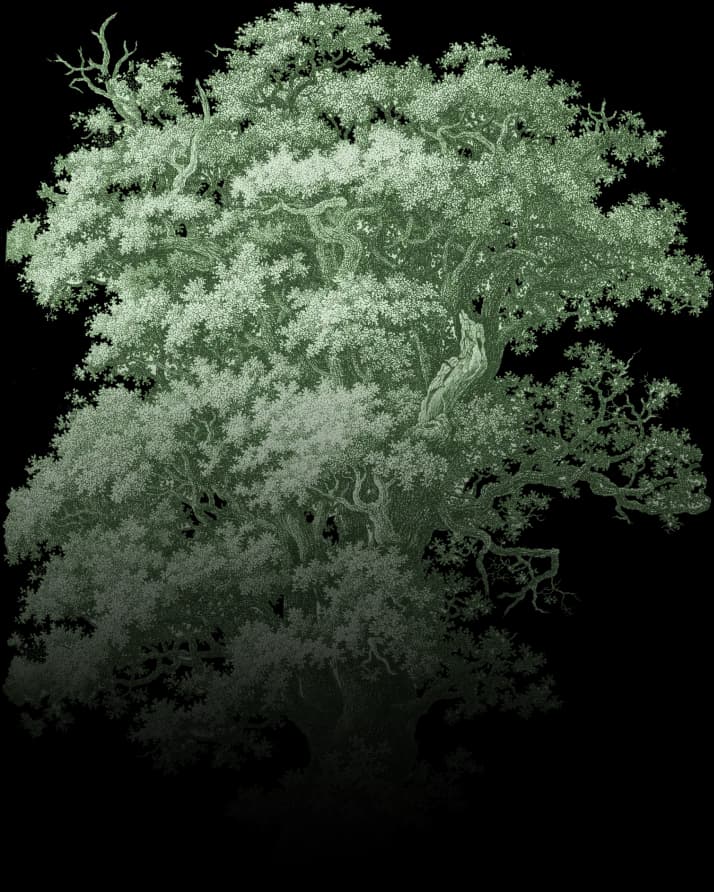 Branch